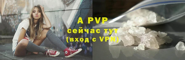 стаф Аркадак