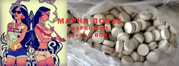 стаф Аркадак